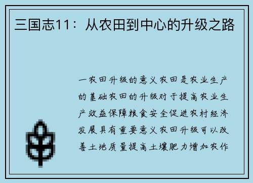 三国志11：从农田到中心的升级之路